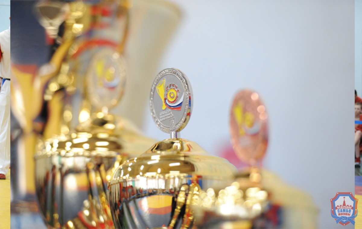 XIV традиционный «Кубок трёхкратного чемпиона мира Игоря Куринного» по самбо

