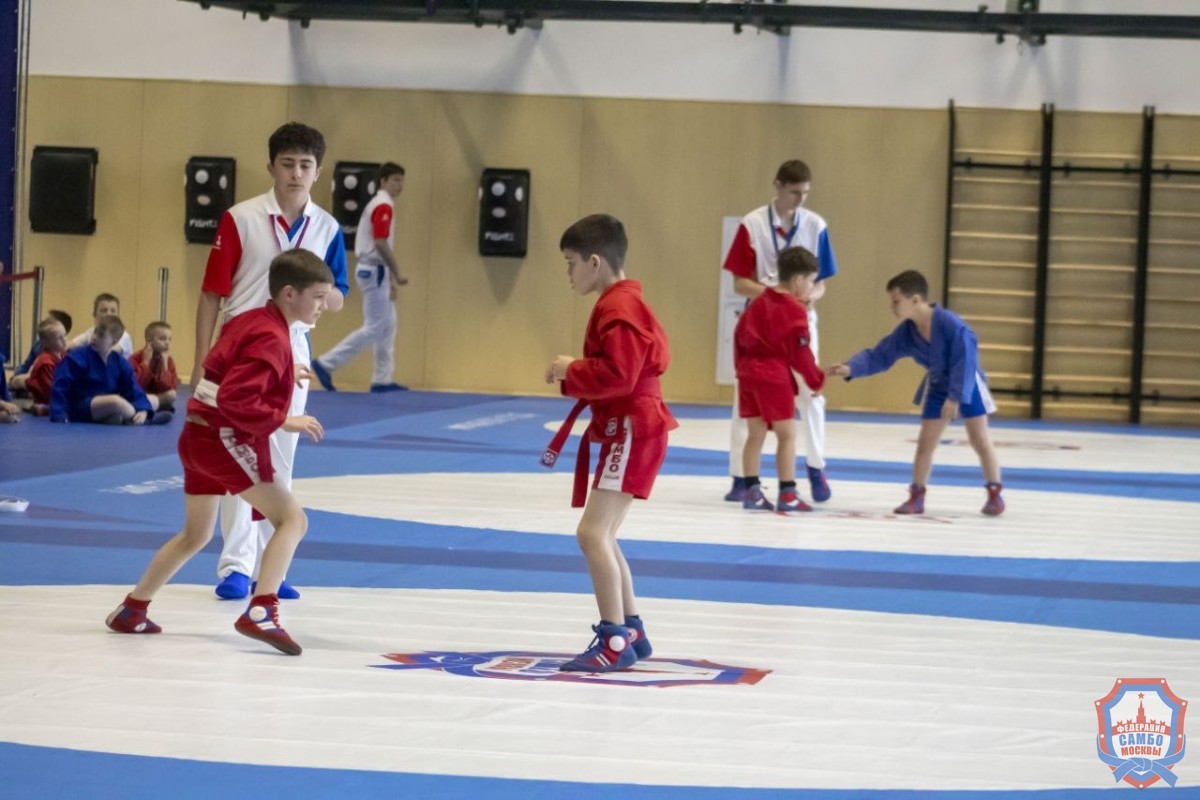 Ковёр, где рождаются звёзды: третий шаг к большим победам