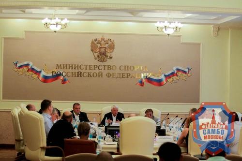 Заседание Исполкома Всероссийской федерации самбо