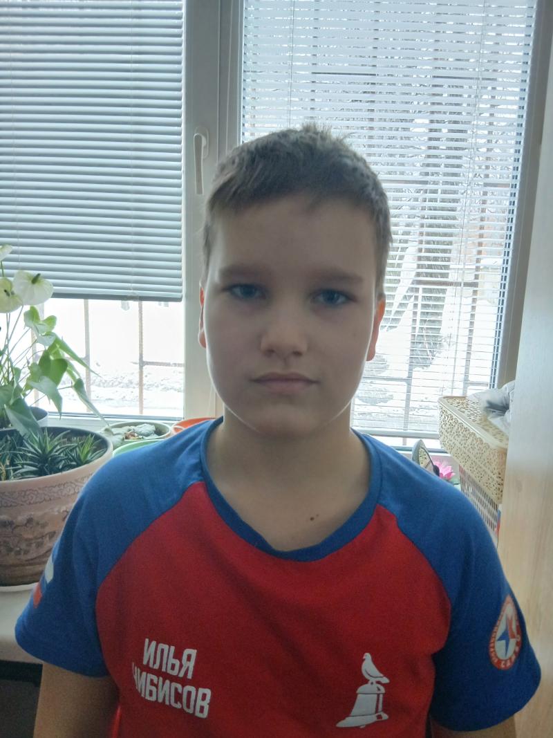 Чибисов Илья Дмитриевич