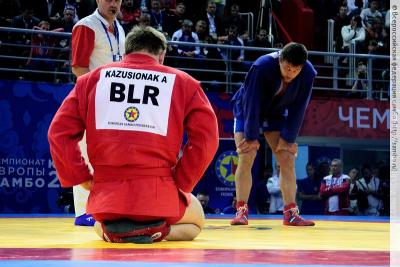 Чемпионат Европы по самбо