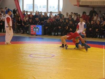 Чемпионат ГУ МВД по г. Москве по самбо