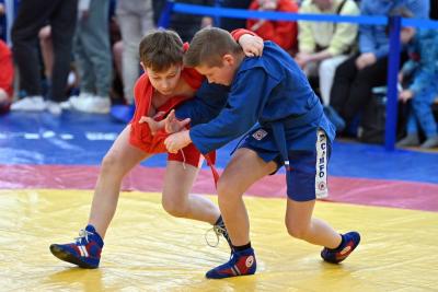 МЮЛ: Традиционный московский турнир "Кубок трехкратного чемпиона Мира по самбо Игоря Куринного"