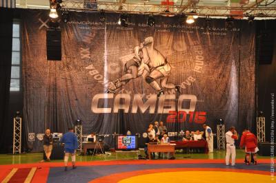 Чемпионат России по самбо среди мастеров, посвященный памяти Владимира Куликова