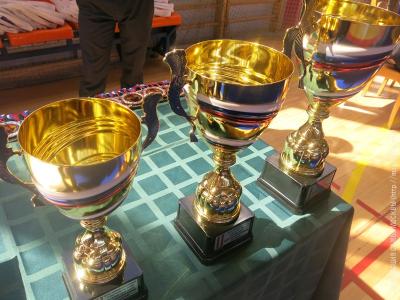 Чемпионат ГУ МВД России по городу Москве по боевому самбо