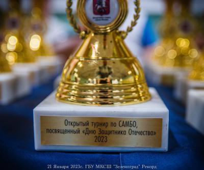 Открытый московский турнир по самбо "Московская юношеская лига", посвященный Дню защитника Отечества