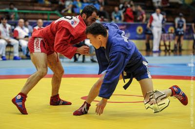 Чемпионат Европы по самбо 2015 в Загребе