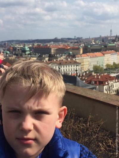 КУБОК САКСОНИИ В ДРЕЗДЕНЕ