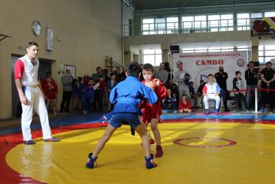 МЮЛ: Открытый Московский турнир  по самбо "Юношеская лига" в Реутово (20 февраля 2022 года)