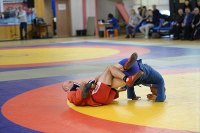 Чемпионат ГУ МВД России по г. Москва по самбо