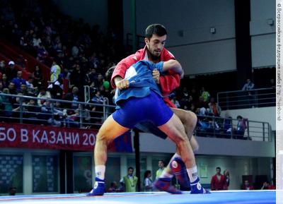 Чемпионат Европы по самбо