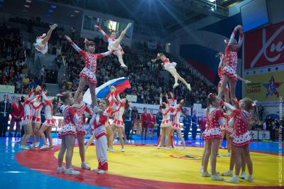 Чемпионат России по самбо в Химках