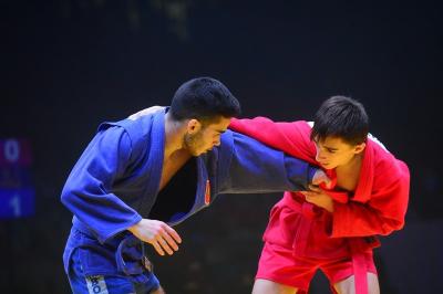 Чемпионат и Первенство мира по самбо (5-8 ноября 2020 г., Сербия)