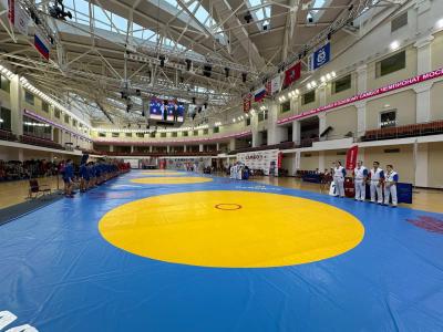 Итоги чемпионата Москвы по самбо и боевому самбо и среди мастеров