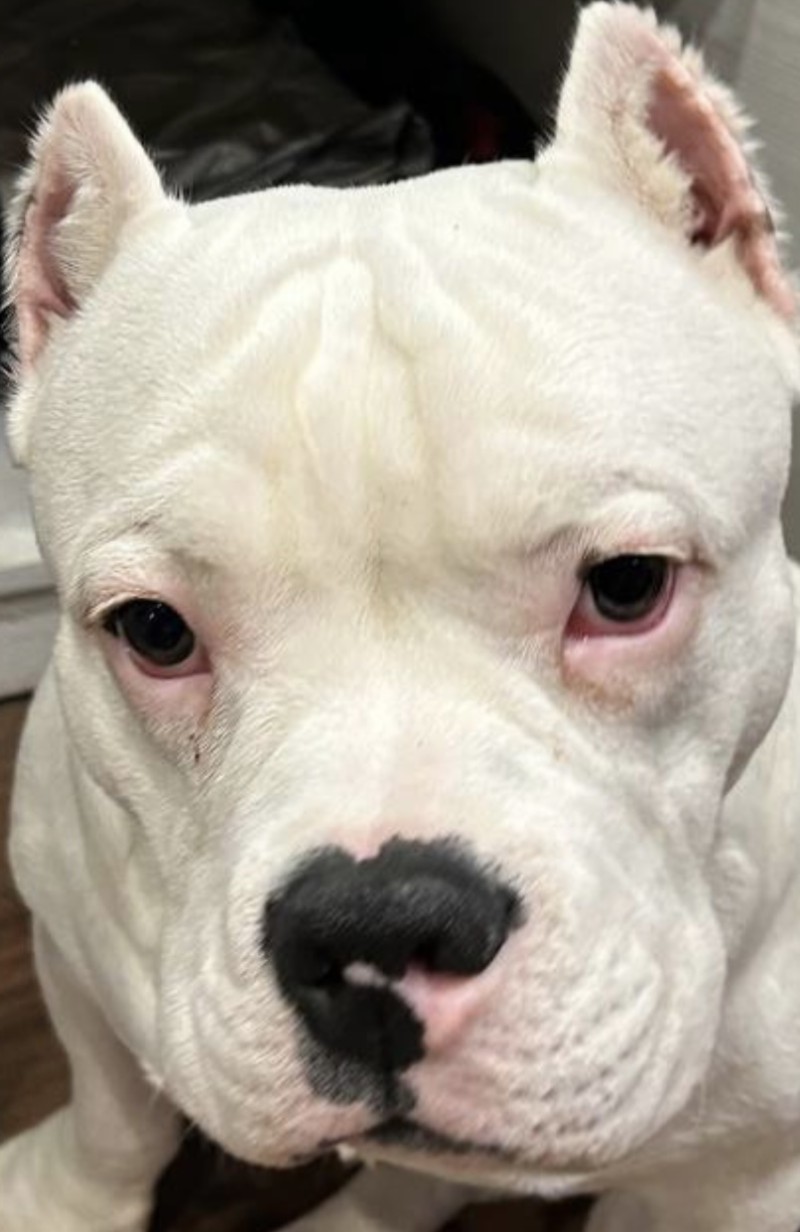 Романов Александр Михайлович